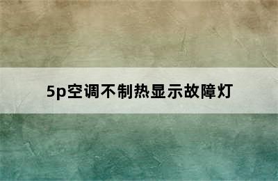 5p空调不制热显示故障灯