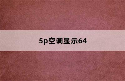 5p空调显示64