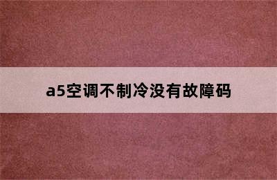 a5空调不制冷没有故障码