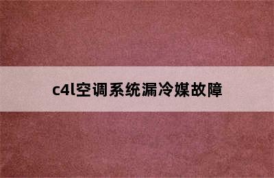 c4l空调系统漏冷媒故障