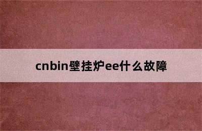 cnbin壁挂炉ee什么故障