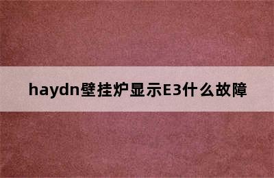 haydn壁挂炉显示E3什么故障