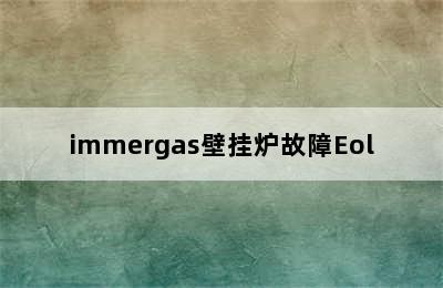 immergas壁挂炉故障Eol