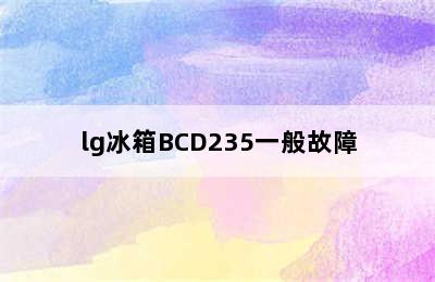 lg冰箱BCD235一般故障