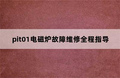 pit01电磁炉故障维修全程指导