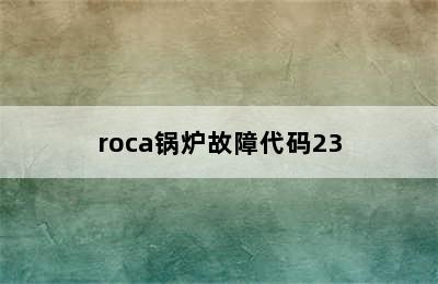 roca锅炉故障代码23