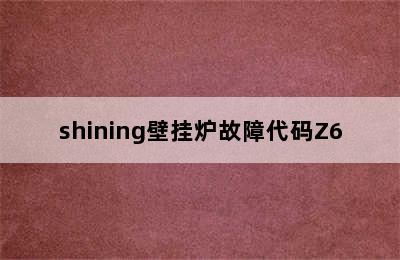 shining壁挂炉故障代码Z6