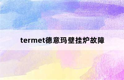 termet德意玛壁挂炉故障