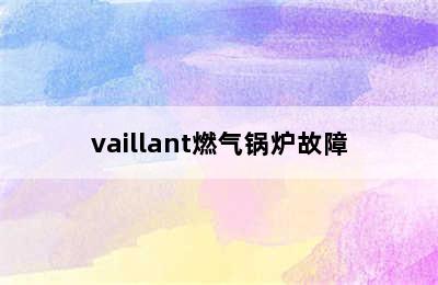 vaillant燃气锅炉故障