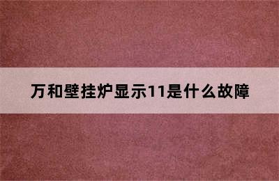 万和壁挂炉显示11是什么故障