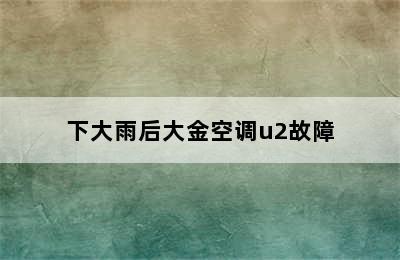 下大雨后大金空调u2故障