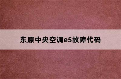 东原中央空调e5故障代码