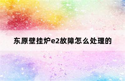 东原壁挂炉e2故障怎么处理的