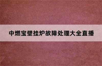 中燃宝壁挂炉故障处理大全直播