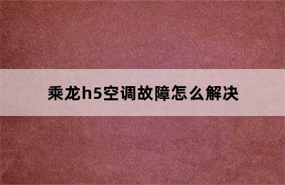 乘龙h5空调故障怎么解决