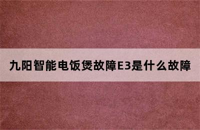 九阳智能电饭煲故障E3是什么故障