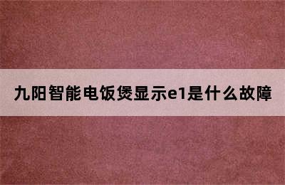 九阳智能电饭煲显示e1是什么故障