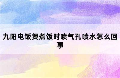 九阳电饭煲煮饭时喷气孔喷水怎么回事