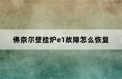 佛奈尔壁挂炉e1故障怎么恢复