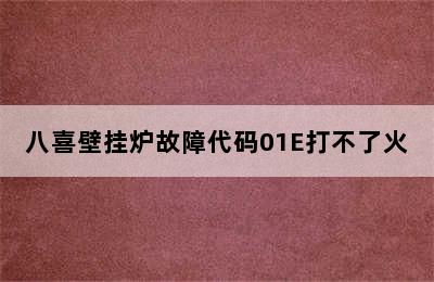 八喜壁挂炉故障代码01E打不了火