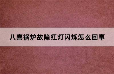 八喜锅炉故障红灯闪烁怎么回事