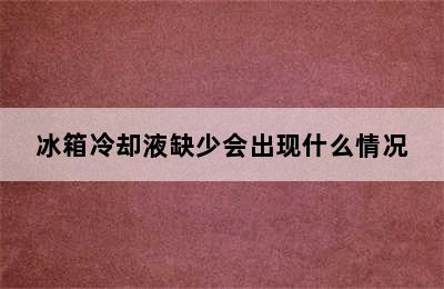 冰箱冷却液缺少会出现什么情况