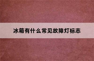 冰箱有什么常见故障灯标志