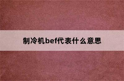 制冷机bef代表什么意思