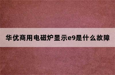 华优商用电磁炉显示e9是什么故障