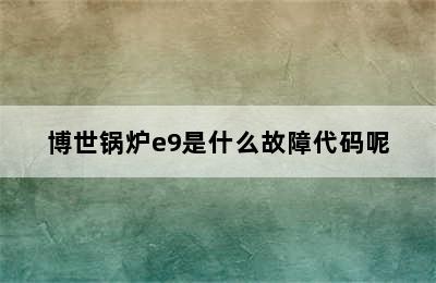 博世锅炉e9是什么故障代码呢