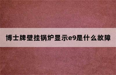 博士牌壁挂锅炉显示e9是什么故障