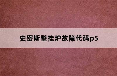 史密斯壁挂炉故障代码p5