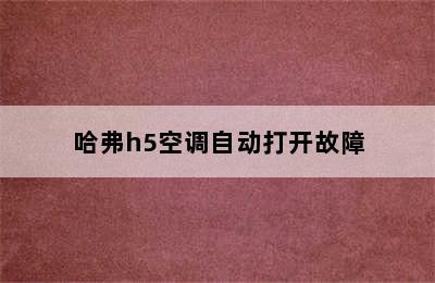 哈弗h5空调自动打开故障