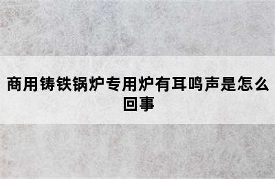 商用铸铁锅炉专用炉有耳鸣声是怎么回事