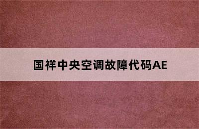 国祥中央空调故障代码AE