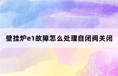 壁挂炉e1故障怎么处理自闭阀关闭