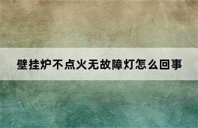 壁挂炉不点火无故障灯怎么回事