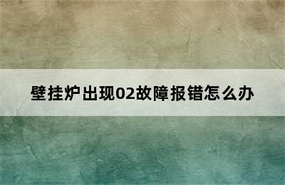 壁挂炉出现02故障报错怎么办