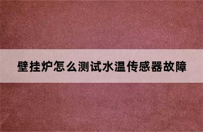 壁挂炉怎么测试水温传感器故障