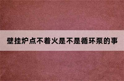 壁挂炉点不着火是不是循环泵的事