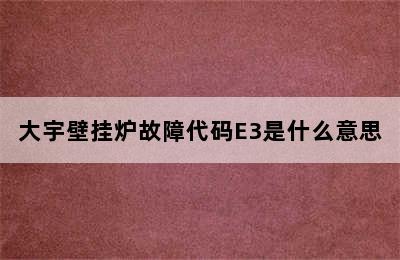 大宇壁挂炉故障代码E3是什么意思