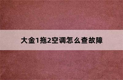 大金1拖2空调怎么查故障