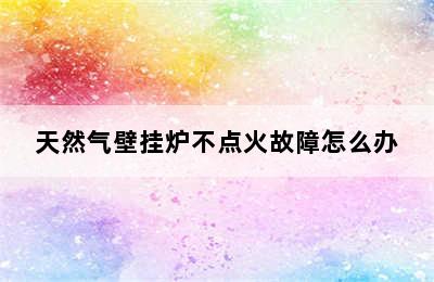 天然气壁挂炉不点火故障怎么办