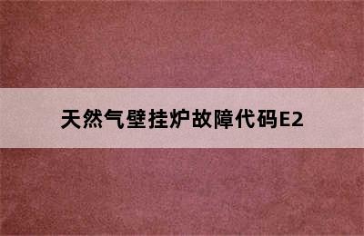 天然气壁挂炉故障代码E2