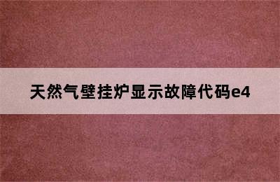 天然气壁挂炉显示故障代码e4