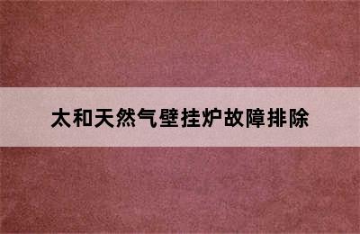 太和天然气壁挂炉故障排除