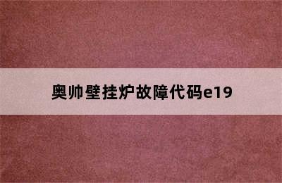 奥帅壁挂炉故障代码e19