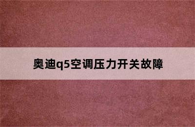 奥迪q5空调压力开关故障