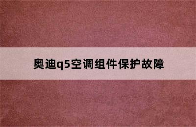 奥迪q5空调组件保护故障