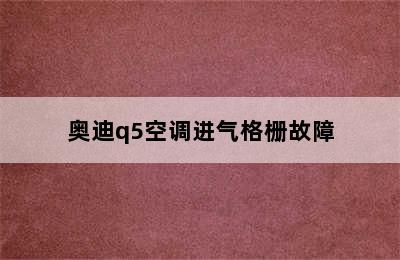 奥迪q5空调进气格栅故障